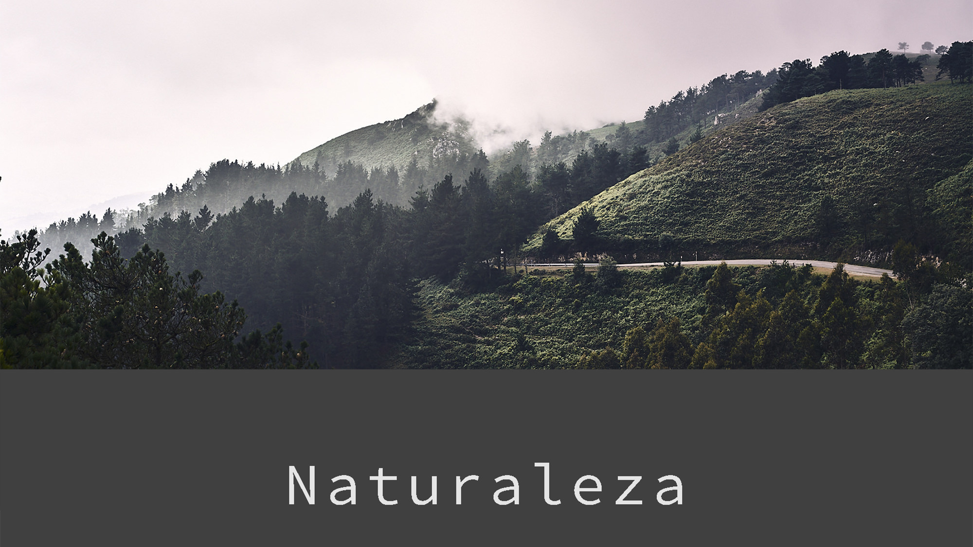 Naturaleza